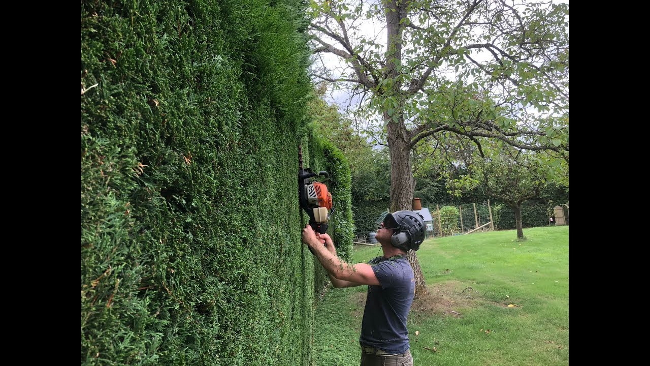 Hedge Trimming the right way (Super Slow Motion ) - YouTube