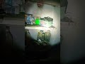 old things