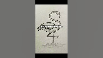 How to draw Flamingo 🦩 #art #sketch #drawing #onepiece