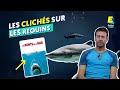 Un spcialiste des requins analyse des scnes de films   science vs fiction