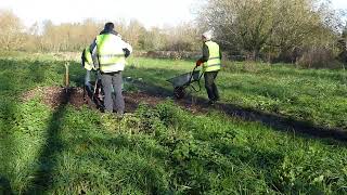 Workday on Brook Meadow - 17 Nov 2022