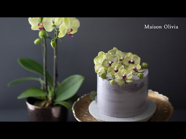 [SUB]Orchid Cake(Flower Cake). 양란케이크(플라워케이크)