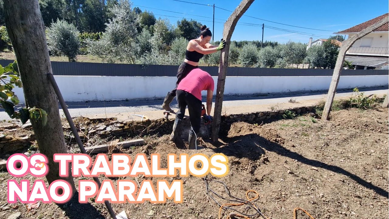 MUITO TRABALHO POR AQUI E A GENTE NÃO PODE PARAR!!!
