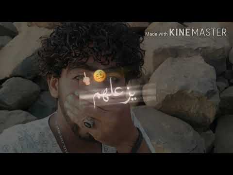 هاشم المصري