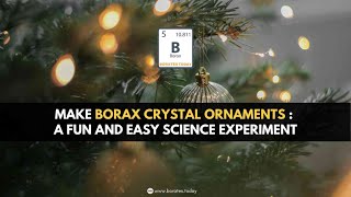 How to Make Borax Crystal Ornaments: A Fun and Easy Science Experiment for Holidays | Borates Today