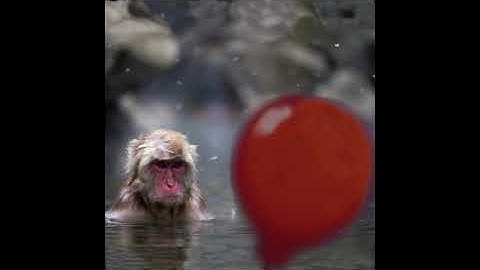 pey - Quincy Son of Quincy  (Official Atrioc Audio)