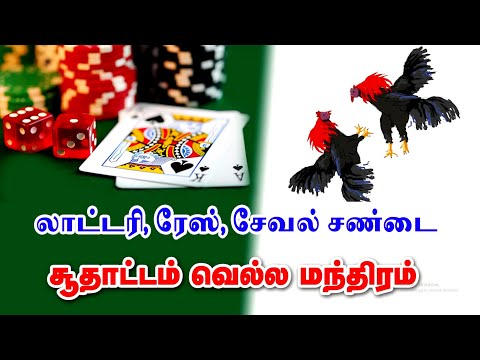 சூதாட்டம் வெல்ல மந்திரம் | லாட்டரி ரேஸ் சேவல் சண்டை சூது வெல்ல மந்திரம் | மிகவும் சக்தி வாய்ந்தது