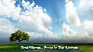 Evol Waves - Name Is The Answer (Original Mix)