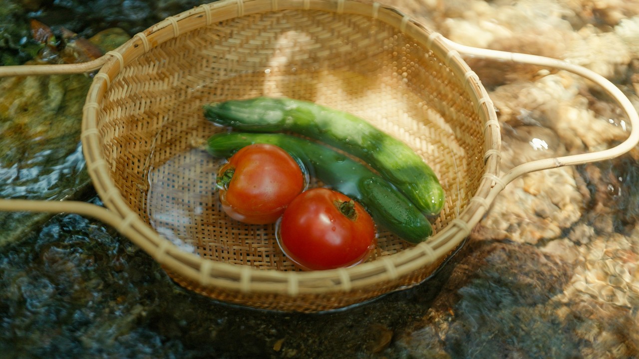 朝4時から始まる、田舎暮らしの夏｜畑で野菜を育てて、食べる暮らし