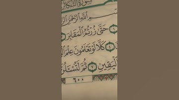 سورة التكاثر مكتوبة مع قراء بصوت الشيخ ماهر المعيقلي@almuaiqly10