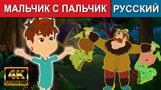 мальчик с пальчик - русские сказки | сказки на ночь | русские мультфильмы | сказки