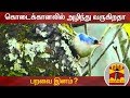 New video by Thanthi TV on YouTube