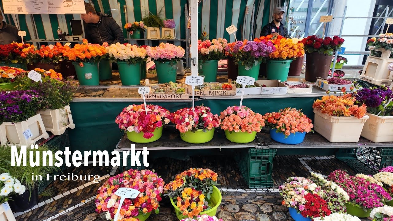 週末ドイツVlog｜フライブルクの朝市🌹Münstermarkt Freiburg散策｜ドイツのスーパー🛒｜恋しいラーメン🍜＆カフェ巡り☕