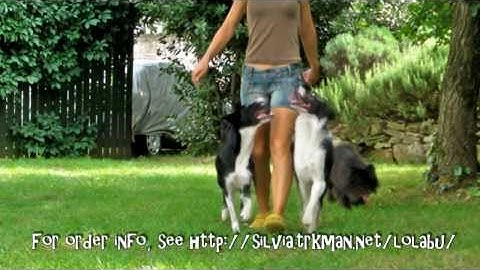 Trailer of a Tutorial Video to Perfect Heeling