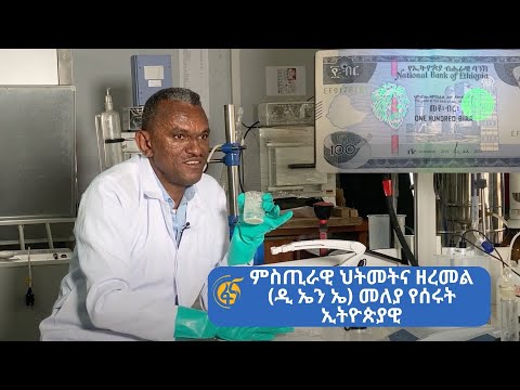 ቪዲዮ: በቁልፍ ሰሌዳ ላይ መብራቶችን እንዴት እንደሚጭኑ (ከስዕሎች ጋር)