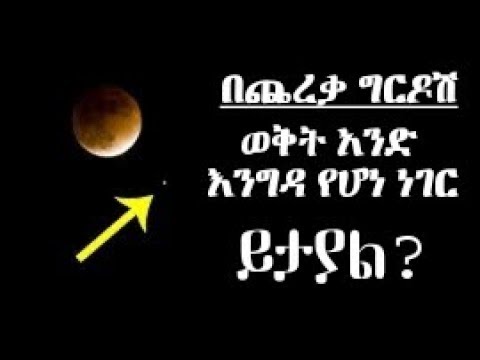 ቪዲዮ: በውሻ መካከል ያደገች ድመት በአገልግሎት የውሻ ማሰልጠኛ ማዕከል ውስጥ እንደ “ፕሮቮኬተር” ትሰራለች።