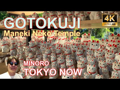 [4K] TOKYO NOW - Gotokuji 07/09/2022