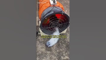 quạt hút, quạt hút khói, quạt hút bụi, Điện thoại: 0936144646,quạt tròn thông gió quạt hút mùi bếp,