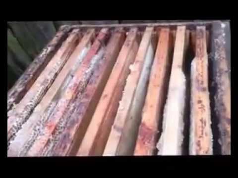 Распечатка рамок - Пчеловодство в покупках - Магазин Распечатка рамок - Пчеловодство в покупках - Магазин