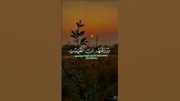 تلاوة هادئة تريح القلب 🌙✨ #تلاوة_هادئة #قرآن_كريم #خشوع #سكينة #راحة_القلب