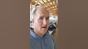 Body language is critical when working with dairy cows