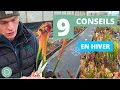 9 conseils pour cultiver ses plantes carnivores  le guide de janvier 