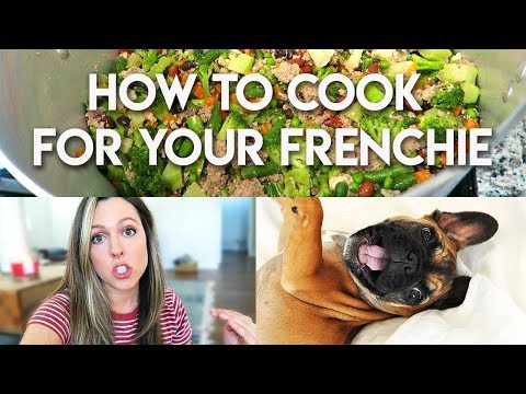 how-to-cook-food-for-your-frenchie