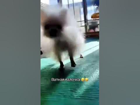 Ватная палочка🤣🤣 - YouTube