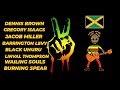 Rootsman reggae dub mix
