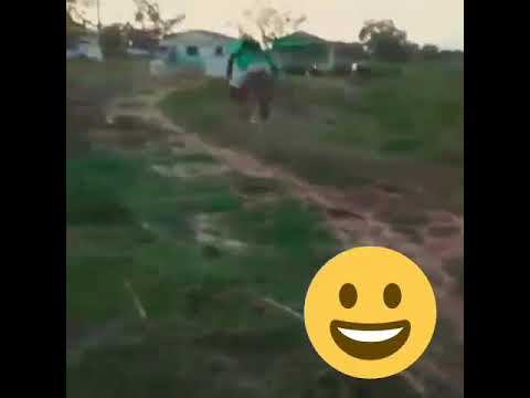 حمار راكب فوق حمار