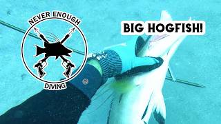 Full Dive Fridays are back!