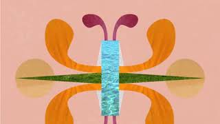 They Dont Know - Vanessa Bling