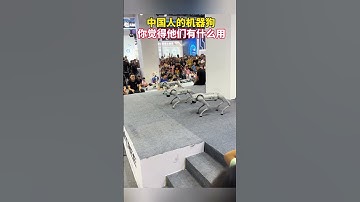 中國人的機器狗在表演