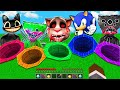 CHOOSE THE RIGHT SECRET TUNNEL CARTOON CAT HUGGY WUGGY SONIC TALKING TOM KILLY WILLY MINECRAFT SCP