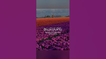 كانوا قليلا من الليل ما يهجعون ❤حالات واتس اب قران 🎧 تلاوة خاشعة 💙Quran Status 💜 اية قرانية قصيره 🎧