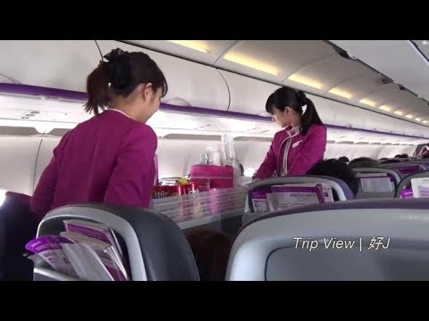 【機内レポ2-2】 ピーチ航空 Peach 피치 항공 樂桃航空 CTS⇒NRT 【リカちゃん】