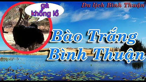 Bào trắng tiểu sa mạc Sahara | Du lịch Bình Thuận | Đức Tú Official