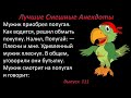 Лучшие смешные анекдоты  Выпуск 111