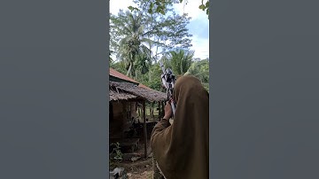 berburu tupai#hunting