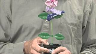 MWM Smart Sensors Module Introduction