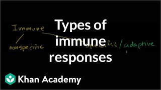 Types of immune responses: Innate and Adaptive.  Humoral vs. Cell-Mediated