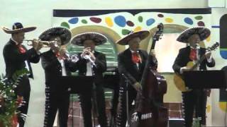 Mariachi La Paloma Dobova-Mi Imamo Mnogos Problemos V Živo