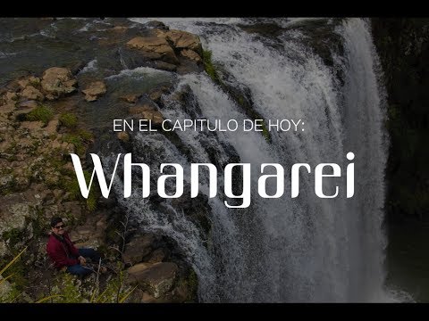 Video: ¿Por qué ir a whangarei?