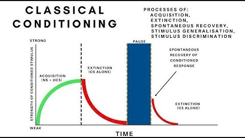 Classical Conditioning Acquisition, Extinction, Spontaneous Recovery, Generalisation& Discrimination