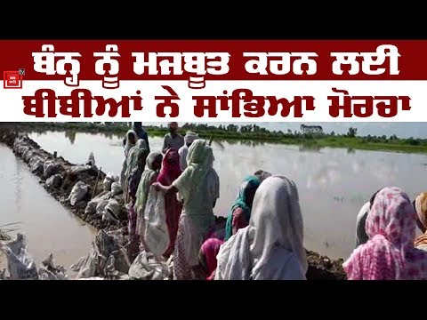 Sultanpur Lodhi `ਚ Dussi ਬੰਨ੍ਹ ਨੂੰ ਮਜਬੂਤ ਕਰਨ `ਚ ਲੱਗੇ Flood ਤੋਂ ਡਰੇ ਲੋਕ