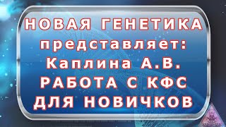 Каплина А. В.  Работа С Кфс Кольцова С. В. Для Новичков От 05.02.2020Г.