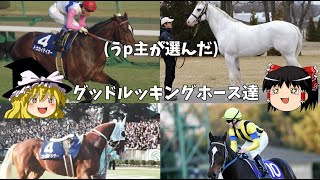 【ゆっくり解説】グッドルッキングホースな馬達【ざっくり紹介】