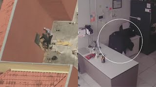 Video muestra a ladrones irrumpiendo en una joyería de Miami