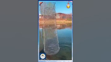 Giỏ đựng cá kim loại  #fishing #caucathugian #taphoadocau #tap_hoa_do_cau #dammecauca #cauca