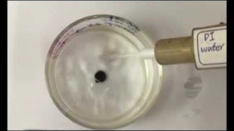 Graphene foam gets big and tough